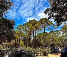 Camping pour tente en Corse